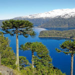 1 Parque Nacional Conguillío (www.upsocl.combranded7-razones-para-tomar-tu-mochila-y-viajar-a-la-siempre-verde-araucania-chilena)