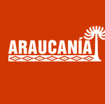 logo_araucania.cl_