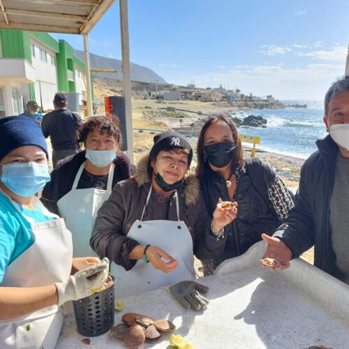 08 JULIO- Tras una mañana intensa en comisión de Agricultura, aprovechamos este hermoso día para visitar la caleta de Caldera. Muchas gracias por el cariño recibido estos dos días!