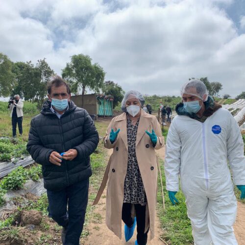 30/09 - Visita de Comisión de Agricultura a Litueche y Navidad en la región de O” Higgins. Con el fin de conocer los problemas que están teniendo los productores de frutillas, debido a la plaga de Nematodo. La comisión sesionará de forma especial en la zona para abordar esta situación y de qué forma podría afectar a otras regiones del país.