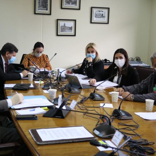 31 /08 - En comisión de Agricultura escuchamos a los floricultores de la Región de Valparaíso, quienes dieron a conocer las dificultades que enfrentan, en particular, aquellas relacionadas con el etiquetado de los pesticidas y las exigencias para la internación de esquejes.